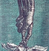 Jacomijn den Engelsen _amaryllisii_2007_200x110cm