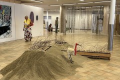 Down to Earth opening