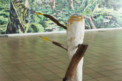 Bart Pols, Rombout Oomen