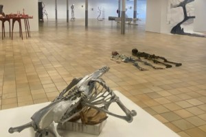 Een Tweede Gedaante 2026