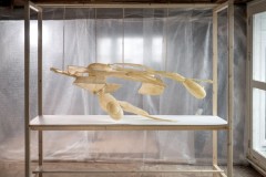 K.Vogel_.-Foto-Han-Ernest