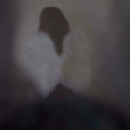 angel[2]