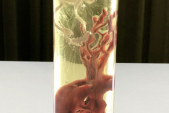 Auto-Embryo