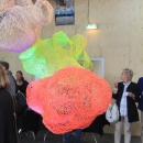 openingIMG_2866