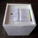 Irene Kopelman boek